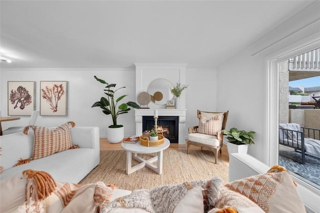 1200 Opal St Unit 7, Redondo Beach, CA 90277 - living room featuring a warm lit fireplace and wood finished floors