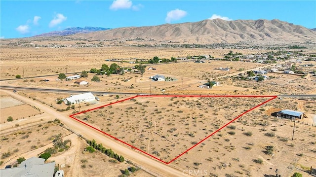 10350 Merino Ave, Apple Valley, CA 92308 - photo 3