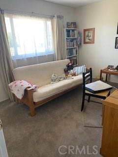 11610 Dodd St, Yucaipa, CA 92399 - photo 15