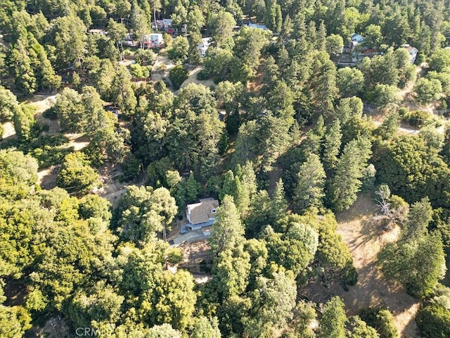 21658 W Buckthorne Dr, Cedarpines Park, CA 92322 - view of property location featuring a heavily wooded area
