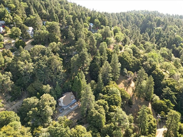 21658 W Buckthorne Dr, Cedarpines Park, CA 92322 - aerial view of property and surrounding area featuring a forest