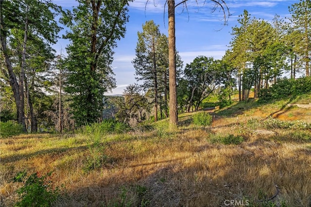 6479 Gregory Ln, Paradise, CA 95969