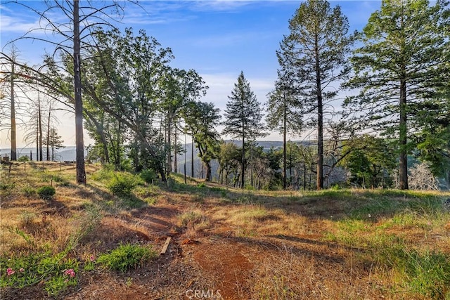 6479 Gregory Ln, Paradise, CA 95969