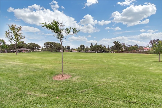 44 Seton Rd, Irvine, CA 92612 - surrounding community featuring a yard