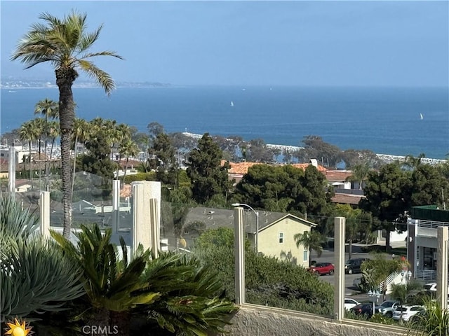 83 Palm Beach Ct, Dana Point, CA 92629 - water view
