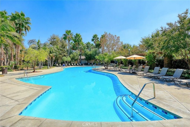 6792 Vanderbilt St, Chino, CA 91710 - community pool with a patio area and view of wooded area