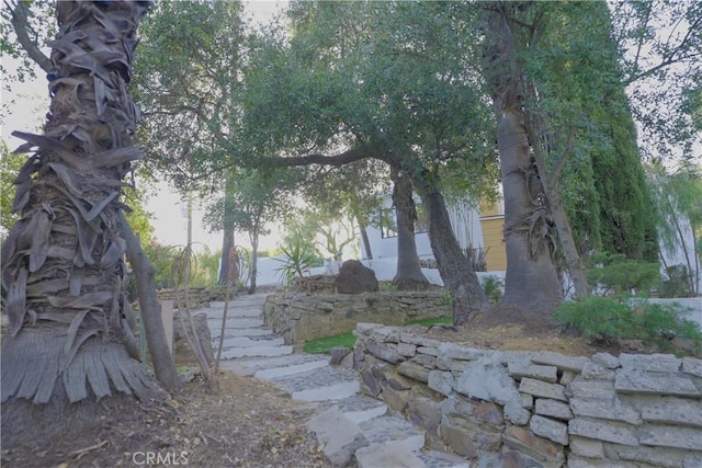 2600 Topanga Skyline Dr, Topanga, CA 90290 - photo 52