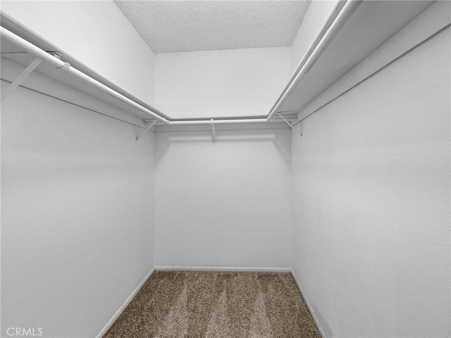 19128 Cedar Dr, Apple Valley, CA 92308 - walk in closet with carpet flooring