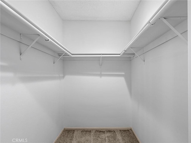 19128 Cedar Dr, Apple Valley, CA 92308 - spacious closet with carpet