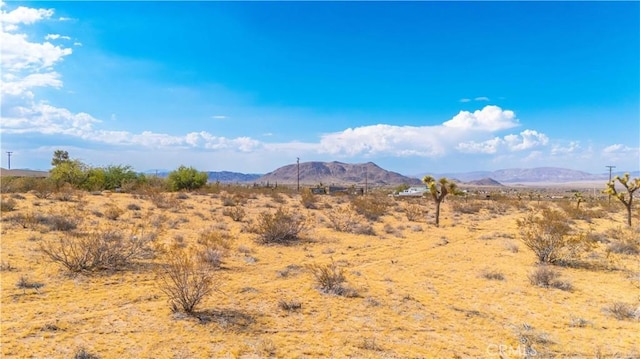 6151 Polands Way, Landers, CA 92284