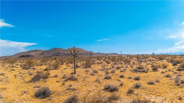 6151 Polands Way, Landers, CA 92284