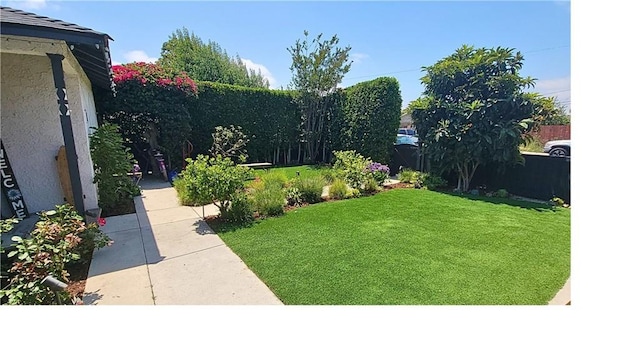 143 Warren Ave, Santa Paula, CA 93060 - view of grassy yard