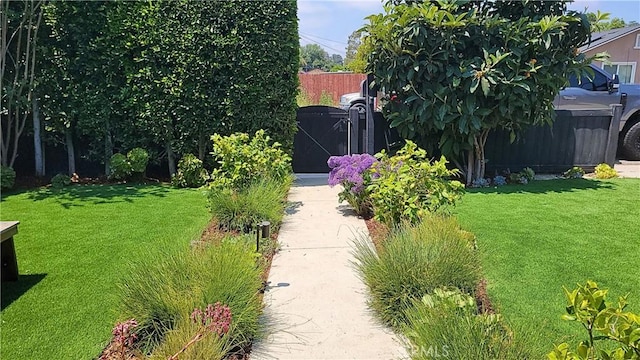 143 Warren Ave, Santa Paula, CA 93060 - view of yard with a gate