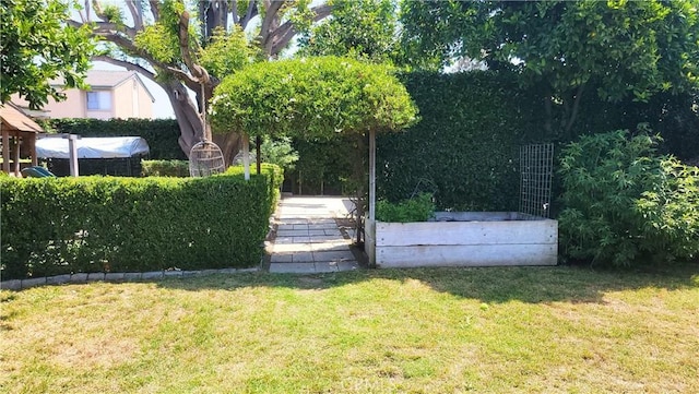 143 Warren Ave, Santa Paula, CA 93060 - view of grassy yard
