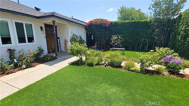 143 Warren Ave, Santa Paula, CA 93060 - view of grassy yard