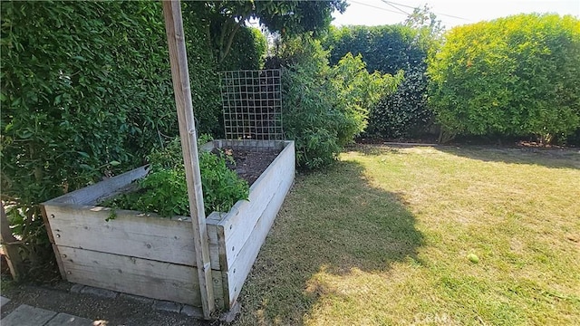 143 Warren Ave, Santa Paula, CA 93060 - view of grassy yard with a vegetable garden