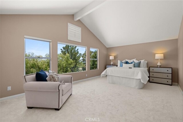 405 S Laureltree Dr, Anaheim Hills, CA 92808 - photo 22