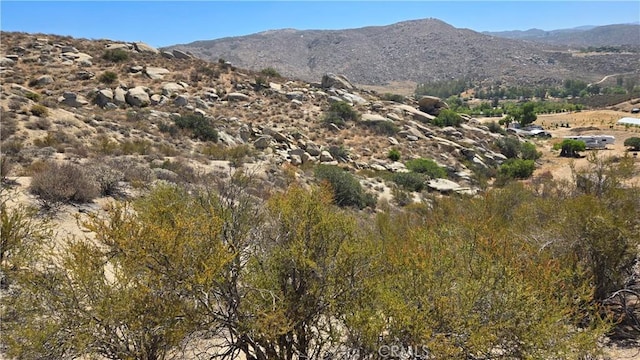 0 Leo Rd, Aguanga, CA 92536 - photo 4