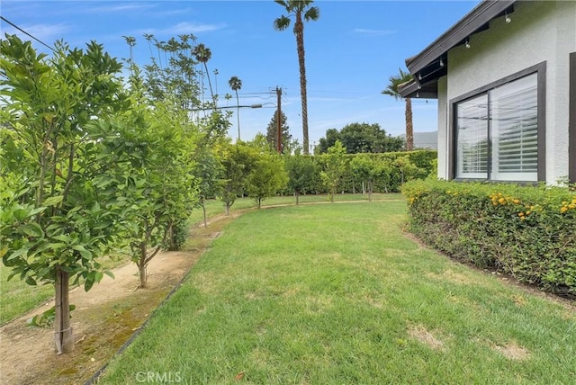 1115 E Sierra Madre Ave, Glendora, CA 91741 - view of green lawn