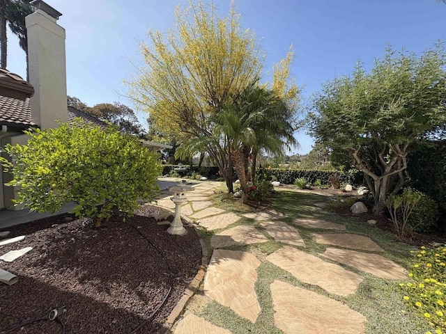 12870 Circulo Dardo, San Diego, CA 92128 - view of yard