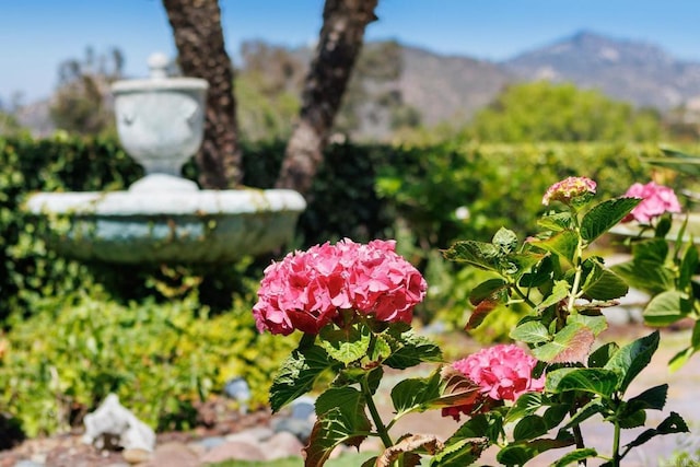 12870 Circulo Dardo, San Diego, CA 92128 - exterior view of a mountainous background