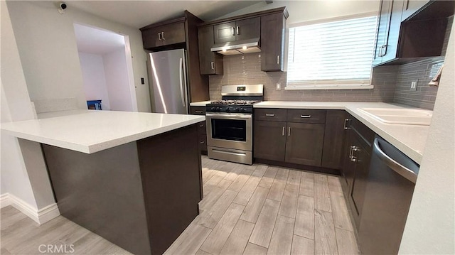 8649 Cantaloupe Ave, Panorama City, CA 91402 - kitchen with appliances with stainless steel finishes, under cabinet range hood, light wood-type flooring, dark brown cabinetry, and backsplash