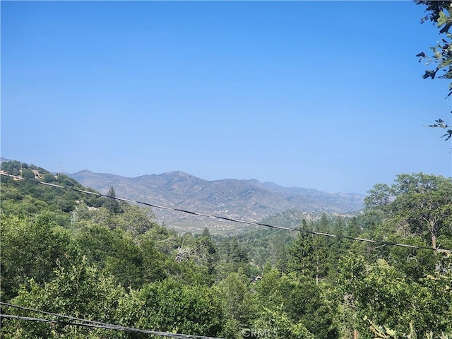 29746 Redwood Rd, Cedar Glen, CA 92321 - view of mountain backdrop with a heavily wooded area