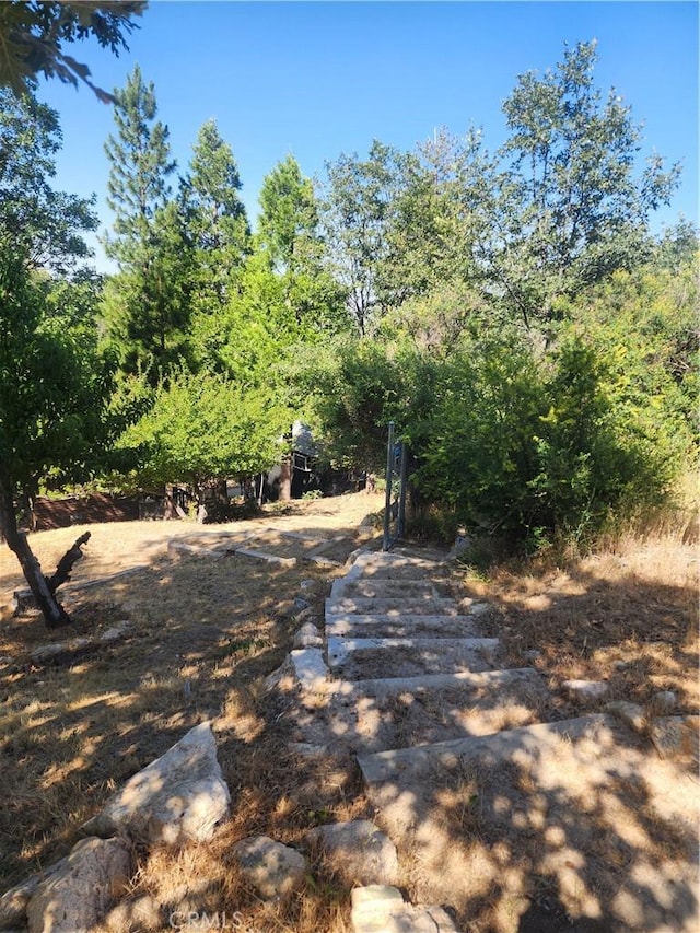 29746 Redwood Rd, Cedar Glen, CA 92321 - view of road