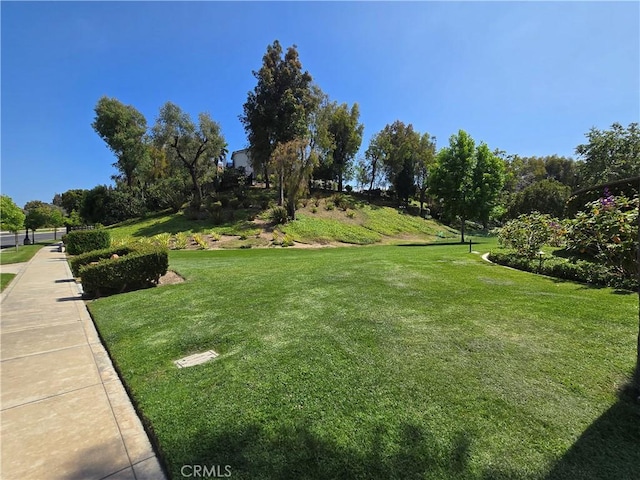 50 Village Cir, Manhattan Beach, CA 90266 - photo 27