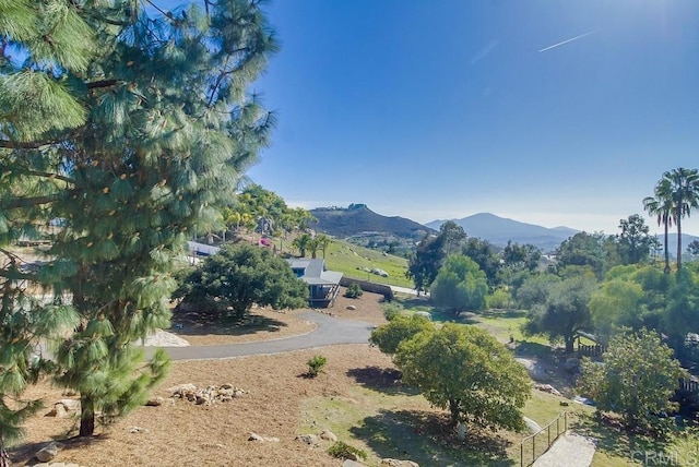 1050 Vista Sierra Dr, El Cajon, CA 92019 - photo 30