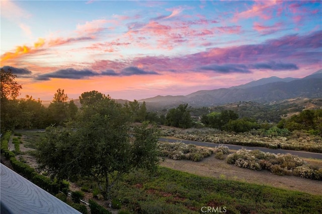 37 Lobelia, Rancho Santa Margarita, CA 92688 - photo 27