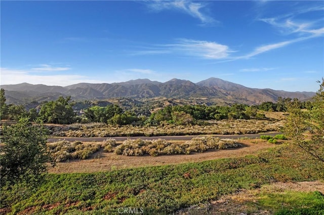 37 Lobelia, Rancho Santa Margarita, CA 92688 - photo 26