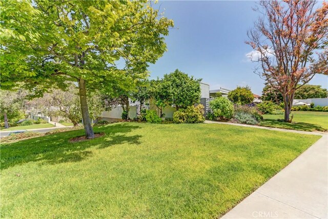 2205 Via Mariposa E Unit A, Laguna Woods, CA 92637 - view of front of home featuring a front yard and stucco siding