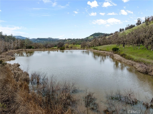 17023 Hofacker Ln, Lower Lake, CA 95457 - water view