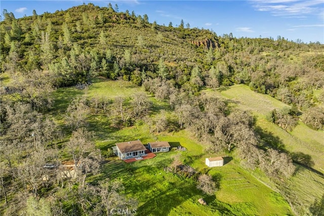 17023 Hofacker Ln, Lower Lake, CA 95457 - view of subject property with a forest