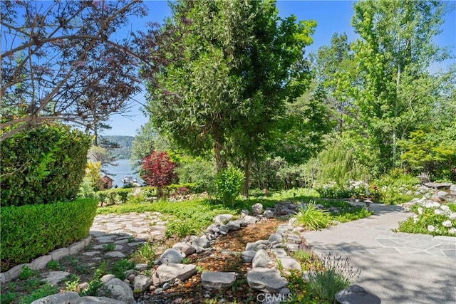 28233 N Shore Rd, Lake Arrowhead, CA 92352 - view of yard