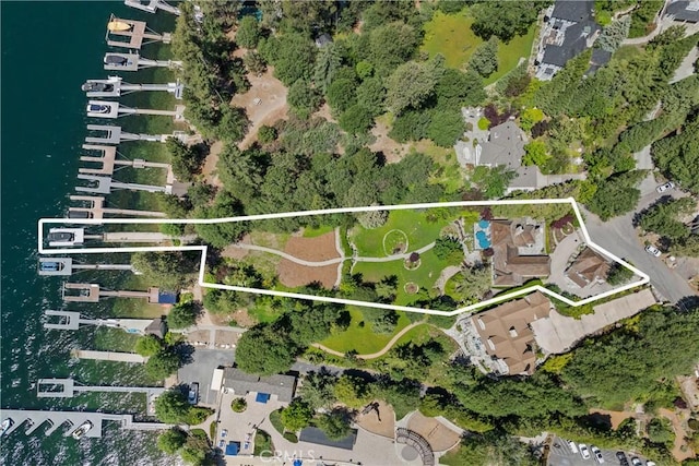 28233 N Shore Rd, Lake Arrowhead, CA 92352 - aerial view of property's location featuring property parcel outlined