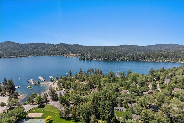 28233 N Shore Rd, Lake Arrowhead, CA 92352 - water view featuring a heavily wooded area
