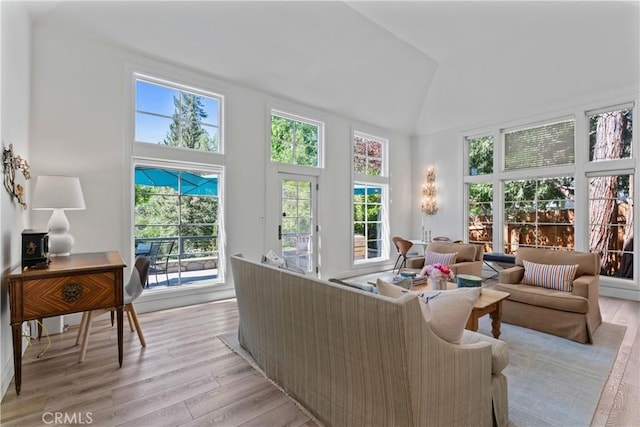 28233 N Shore Rd, Lake Arrowhead, CA 92352 - living area featuring light wood-type flooring and high vaulted ceiling
