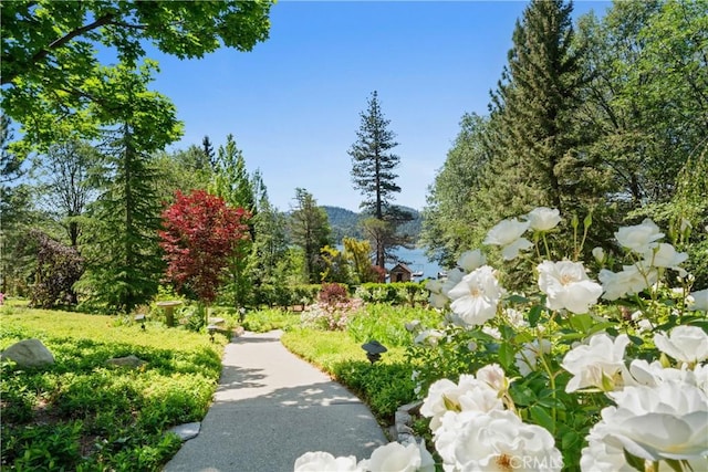 28233 N Shore Rd, Lake Arrowhead, CA 92352 - view of community