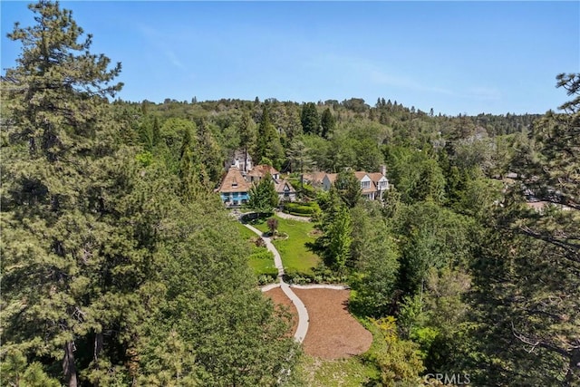 28233 N Shore Rd, Lake Arrowhead, CA 92352 - aerial overview of property's location with a forest