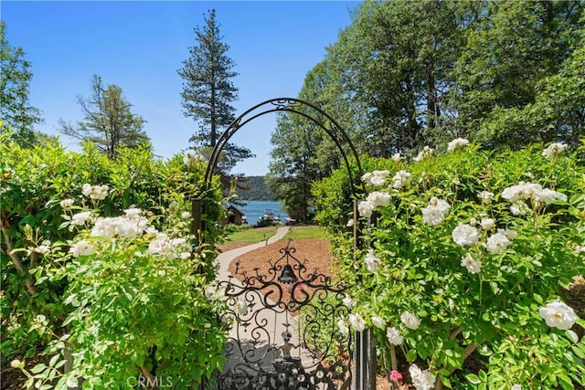 28233 N Shore Rd, Lake Arrowhead, CA 92352 - view of community