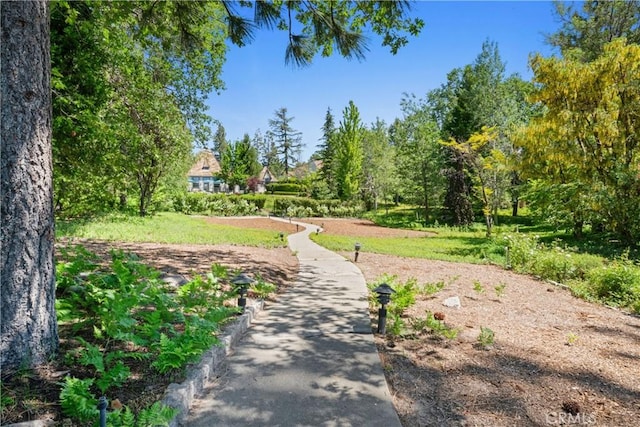 28233 N Shore Rd, Lake Arrowhead, CA 92352 - surrounding community
