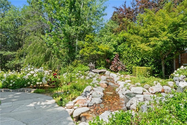 28233 N Shore Rd, Lake Arrowhead, CA 92352 - view of yard