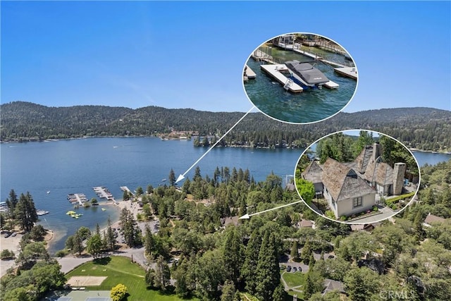 28233 N Shore Rd, Lake Arrowhead, CA 92352 - water view featuring a heavily wooded area