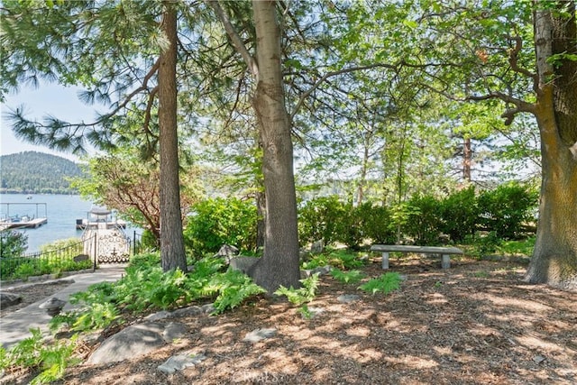 28233 N Shore Rd, Lake Arrowhead, CA 92352 - view of yard featuring a water view