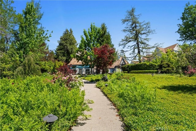 28233 N Shore Rd, Lake Arrowhead, CA 92352 - surrounding community with a yard