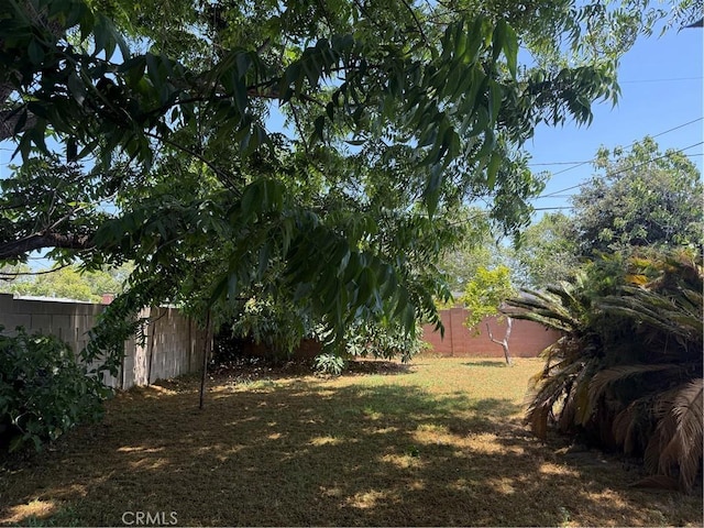 1317 S Baker St, Santa Ana, CA 92707 - view of fenced backyard