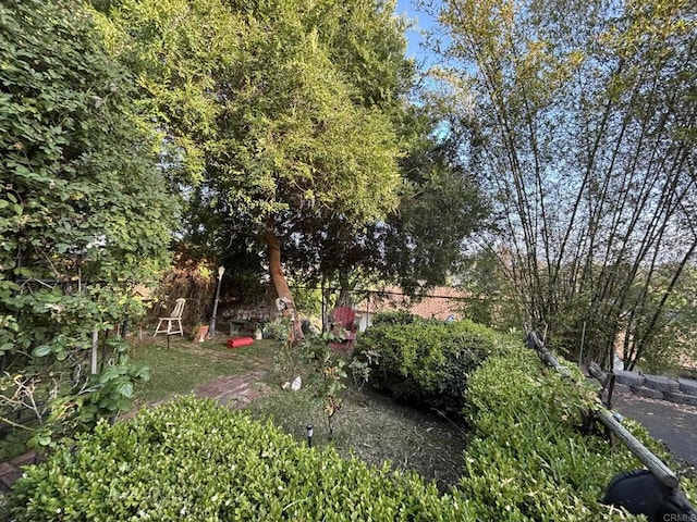 129 Brass Ln, Vista, CA 92083 - view of yard