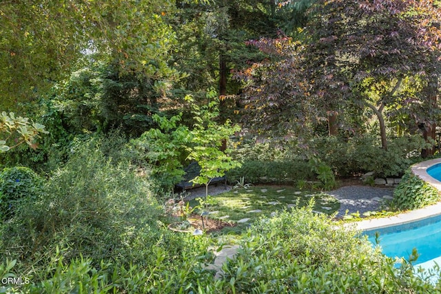 1040 Hillcroft Rd, Glendale, CA 91207 - swimming pool with a forest view